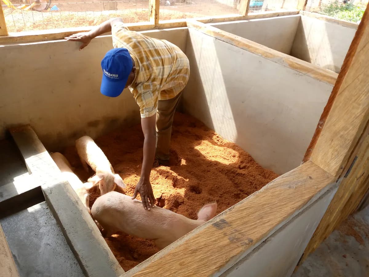 RA-Ghana-OLAM Partnership for Livelihood and Landscapes in Western Ghana
