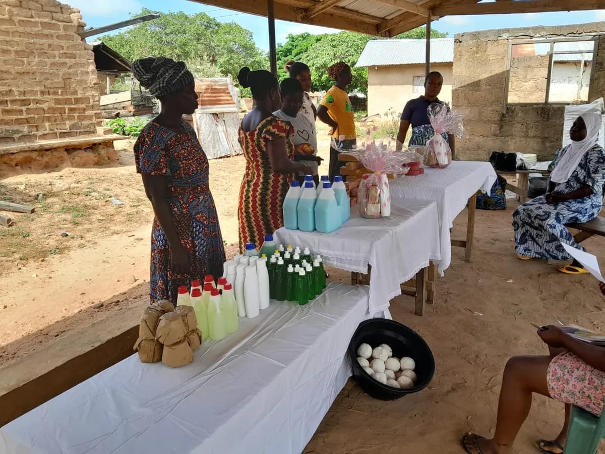 Ghana Landscape Restoration and Small-Scale Mining Project (GLRSSMP)